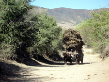 Mexico-Oaxaca-Oaxaca Explorer Ride